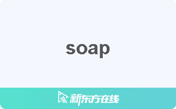 soap什么意思图片